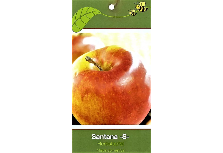 Apfel 'Santana' -S-
