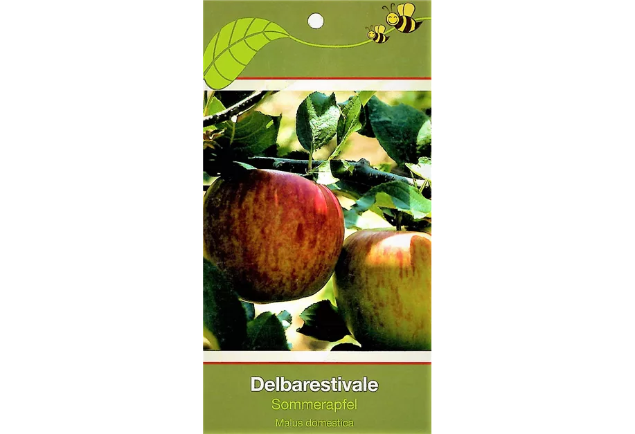 Apfel 'Delbarestivale' früh