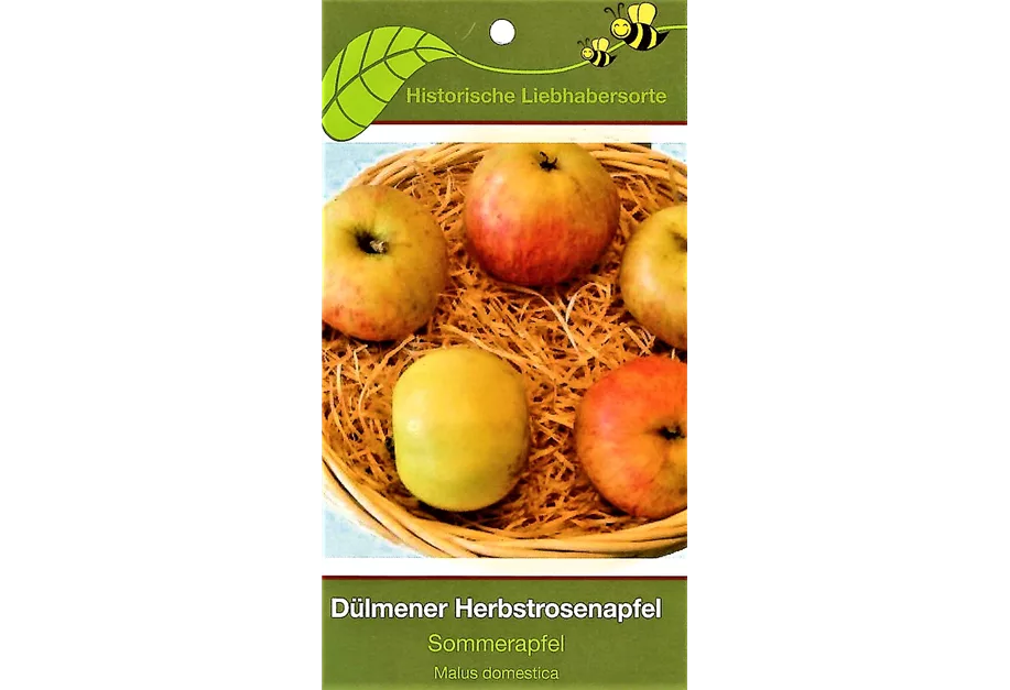 Apfel 'Dülmener Herbstrosenapfel' mittel