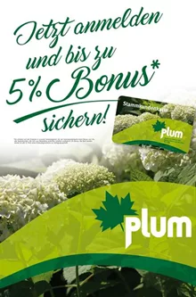 Jetzt neu - die Plum Stammkundenkarte