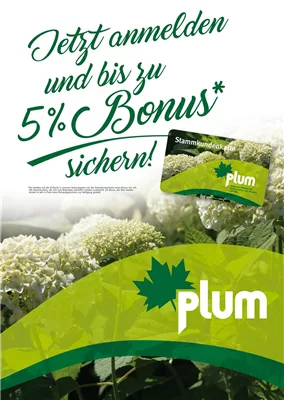 Jetzt neu - die Plum Stammkundenkarte