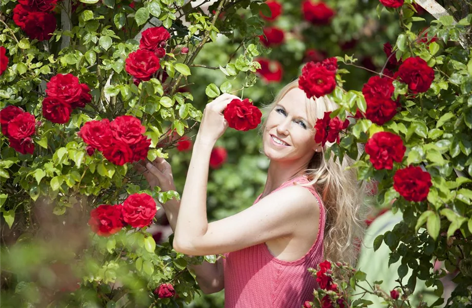 Blühender Valentinstag - für sie und ihn!