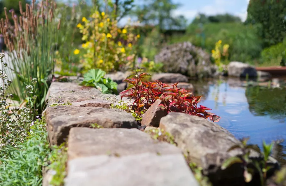 Gartenteich easy going - so klappt's