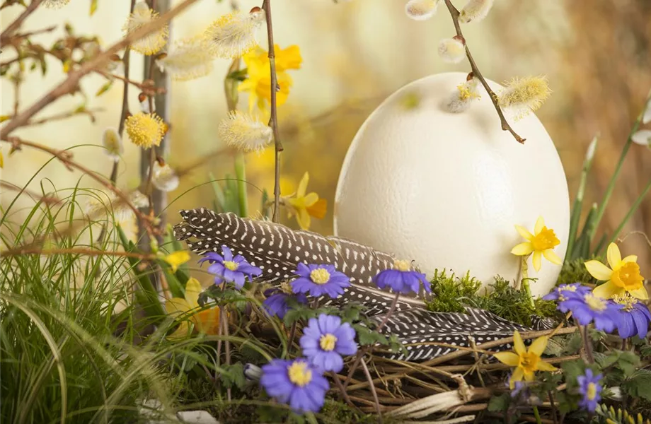 Der Garten für den Osterhasen – ein Frühlingsparadies!