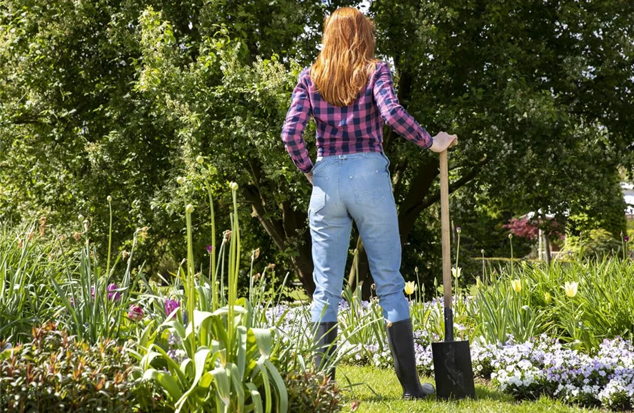 Alles auf Anfang – ein Blumenbeet anlegen