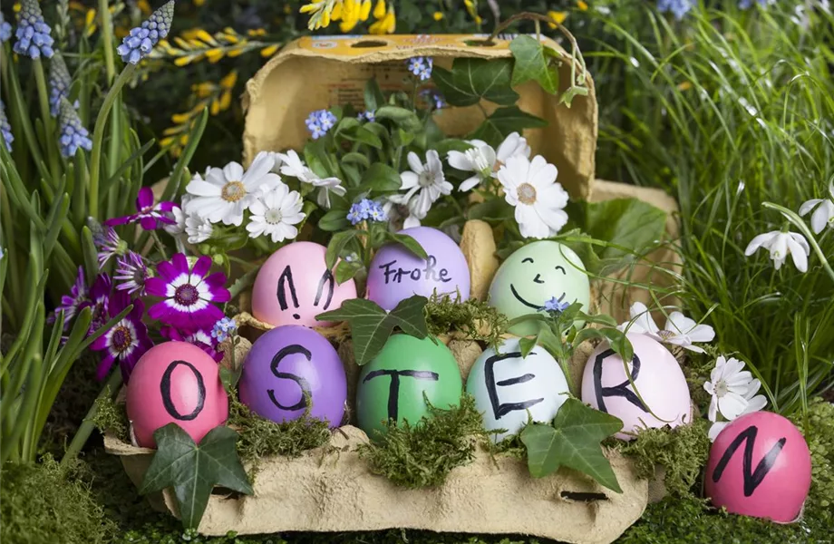 Der Garten für den Osterhasen – ein Frühlingsparadies!