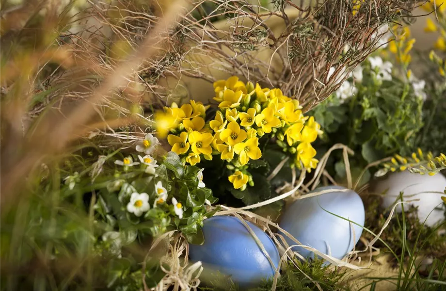 Der Garten für den Osterhasen – ein Frühlingsparadies!