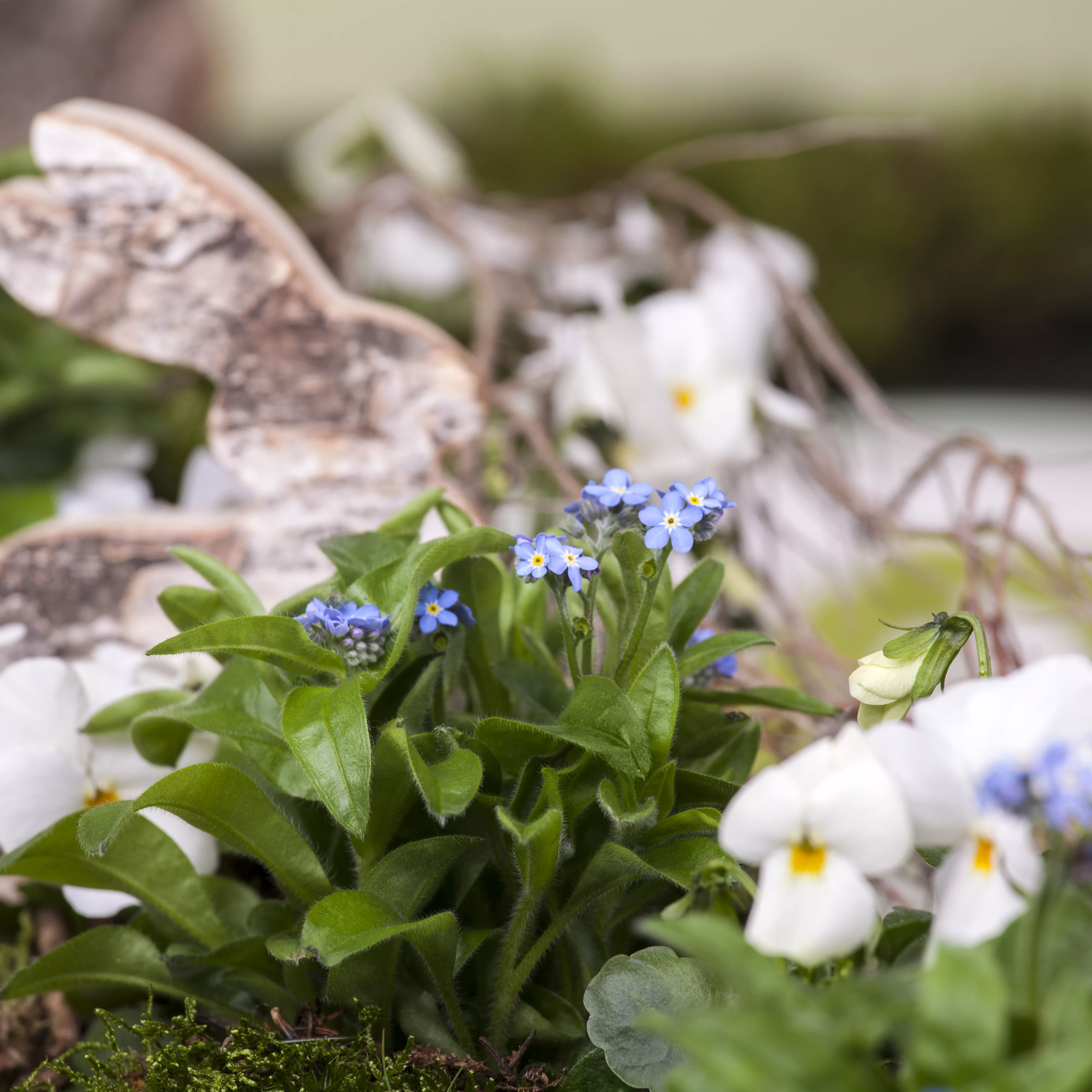 Ostern vor der Haustür