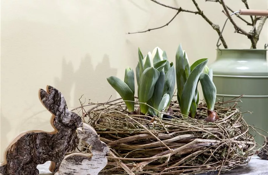 Ostern vor der Haustür