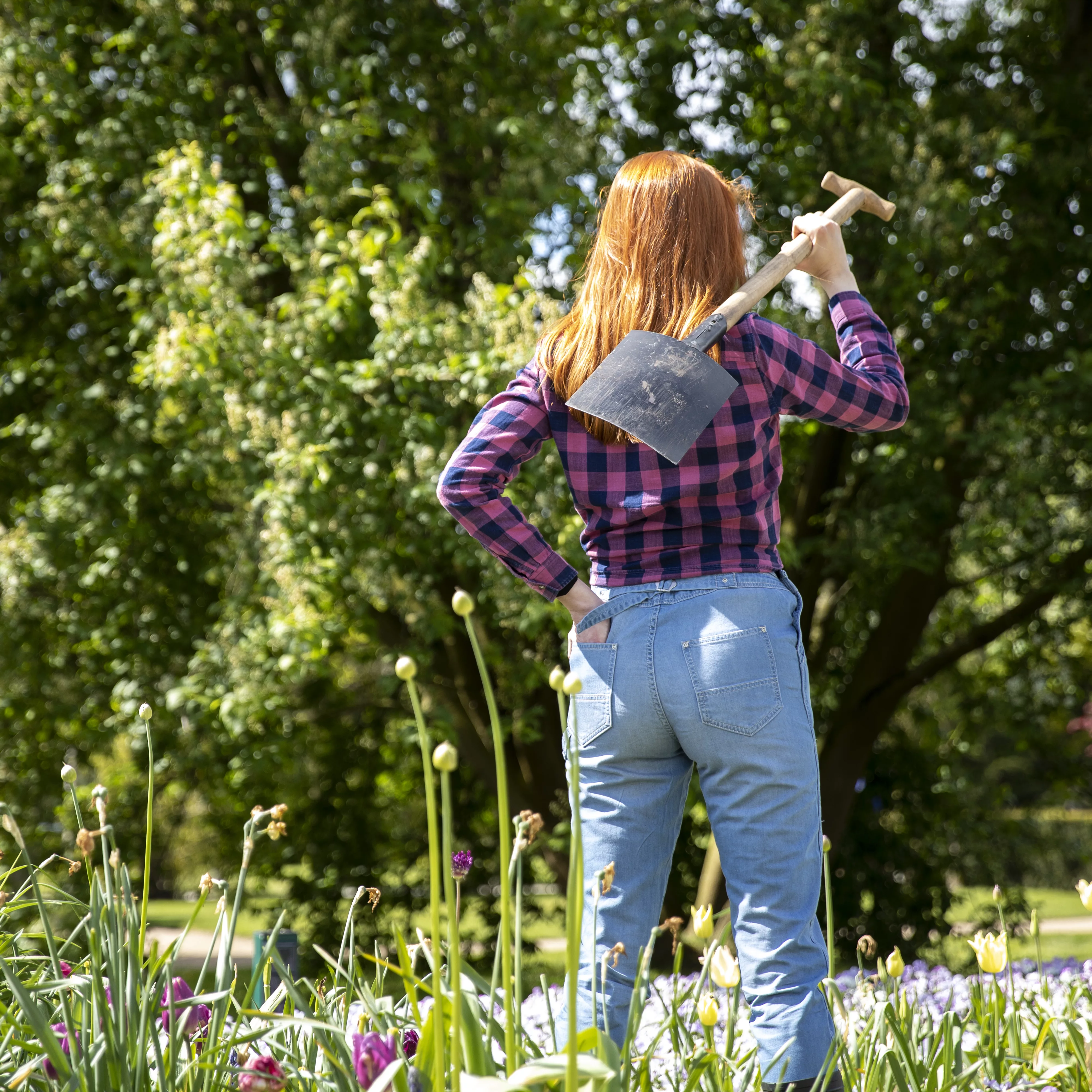 Der Gartenboden – jeder braucht mal Unterstützung