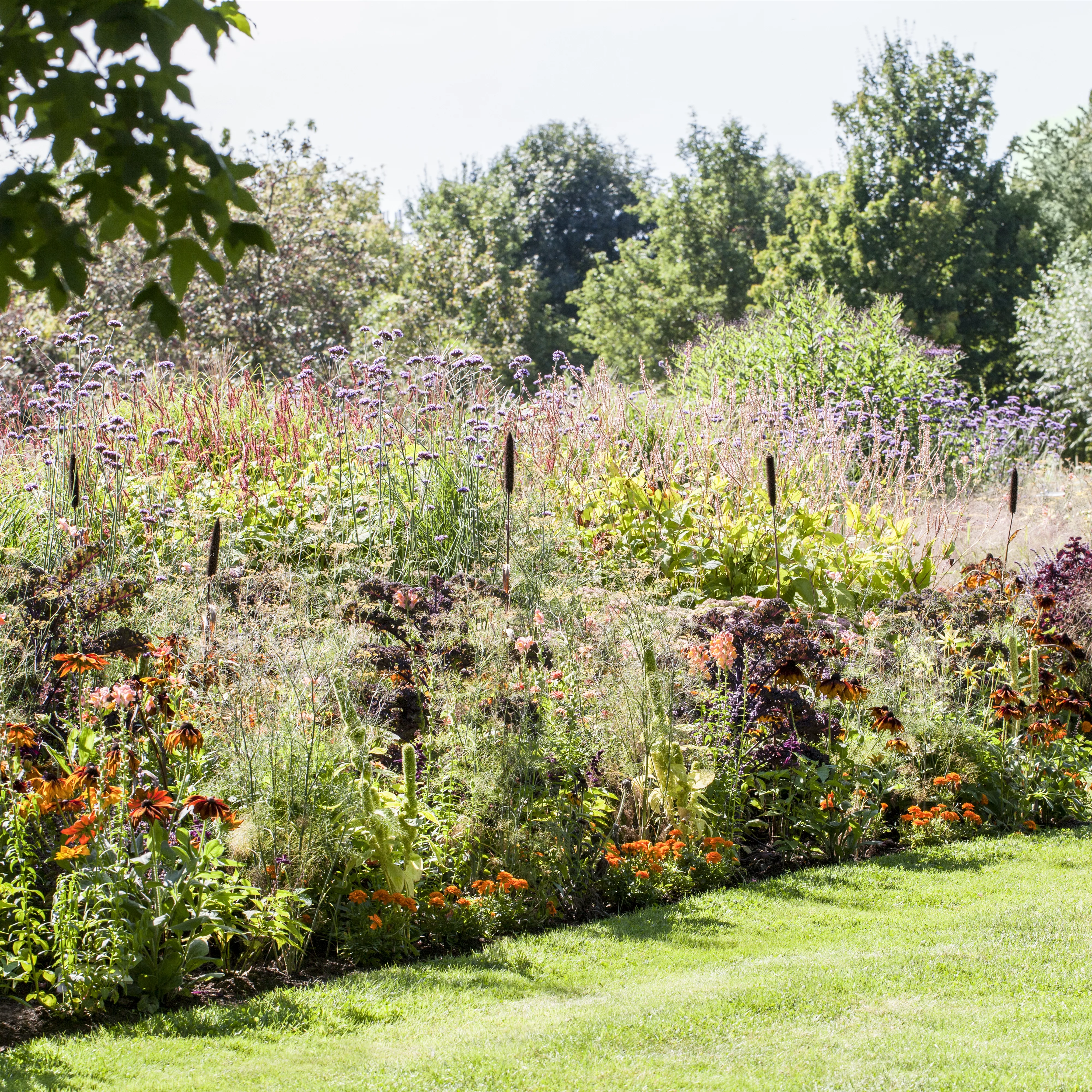 Pflegeleichter Garten: Wohlfühloase trotz wenig Zeit