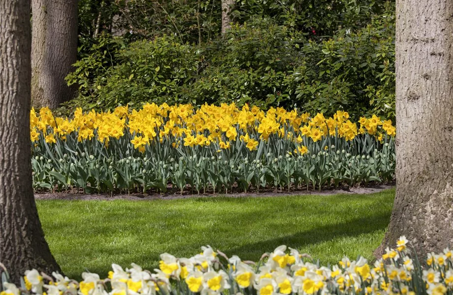 Das richtige Blumenbeet: eine Frage des Geschmacks