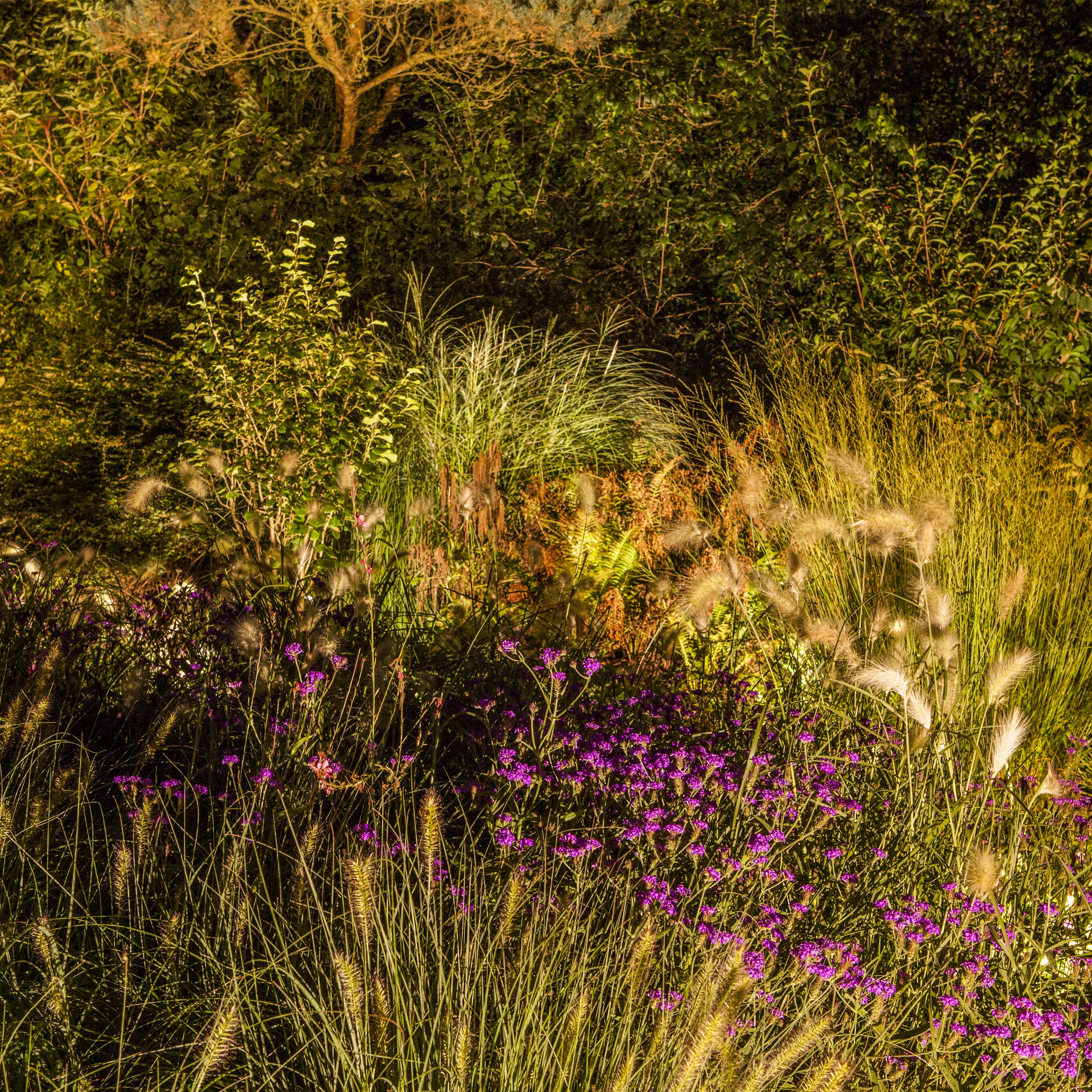 Lichtquellen machen den Garten schöner!