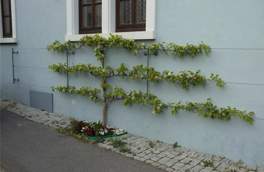 Achtung, fertig, Naschzeit - Die Ernte geht los!