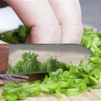 Kochen mit Kräutern aus dem Garten