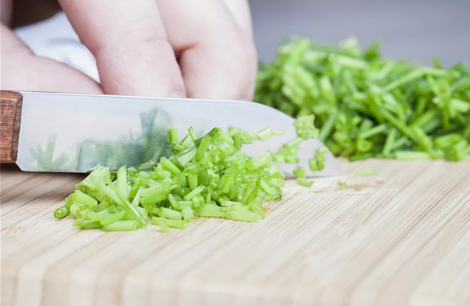 Kochen mit Kräutern aus dem Garten