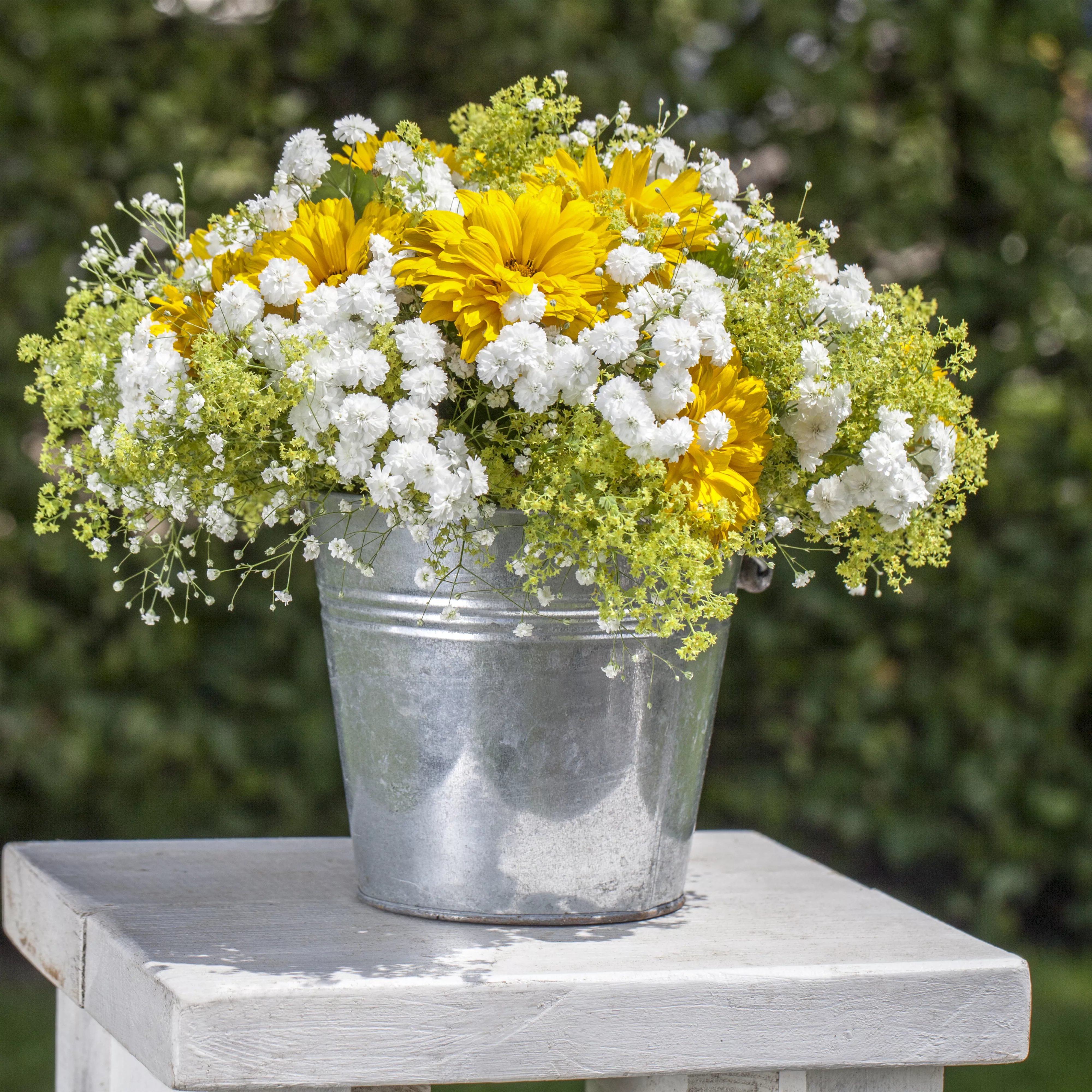 Schnittblumen aus dem eigenen Garten – den Garten ins Haus holen