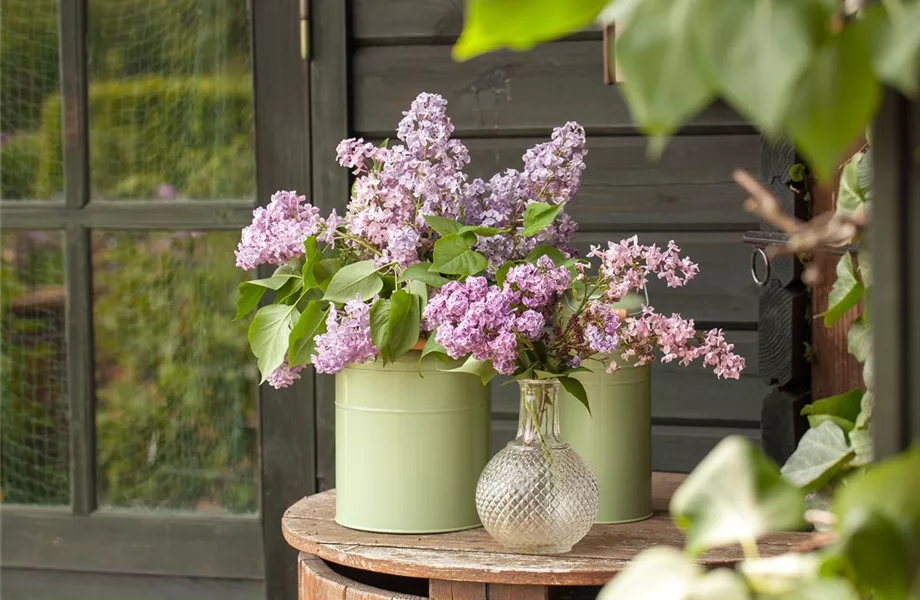 Schnittblumen aus dem eigenen Garten – den Garten ins Haus holen