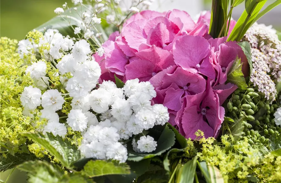 Schnittblumen aus dem eigenen Garten – den Garten ins Haus holen