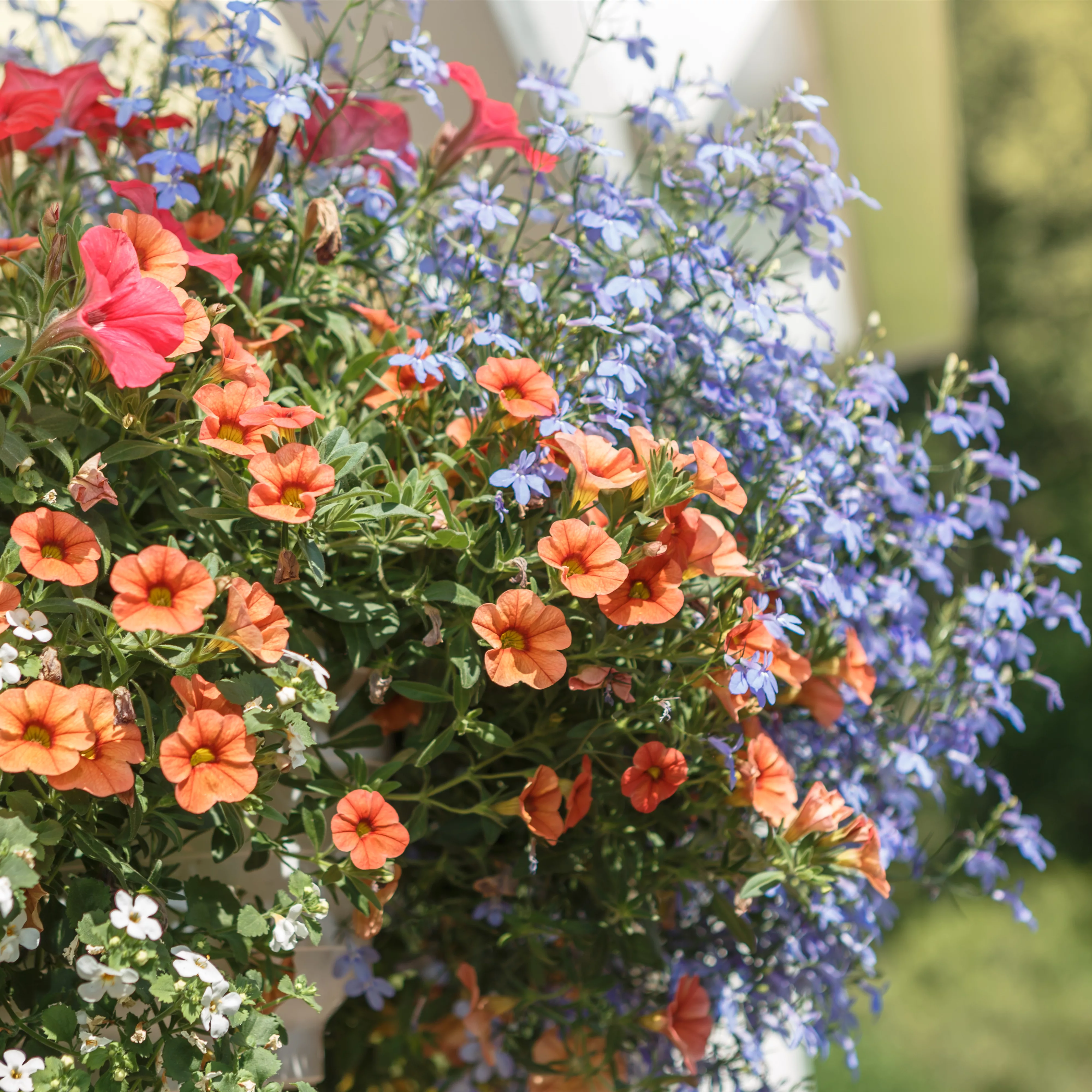 Urban Gardening – Blumenampel aus Konservendosen