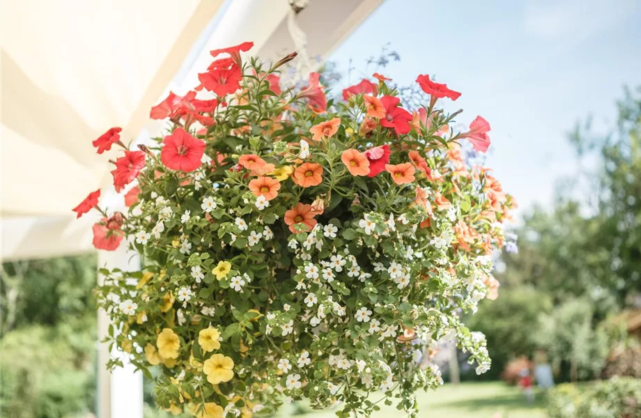 Urban Gardening – Blumenampel aus Konservendosen