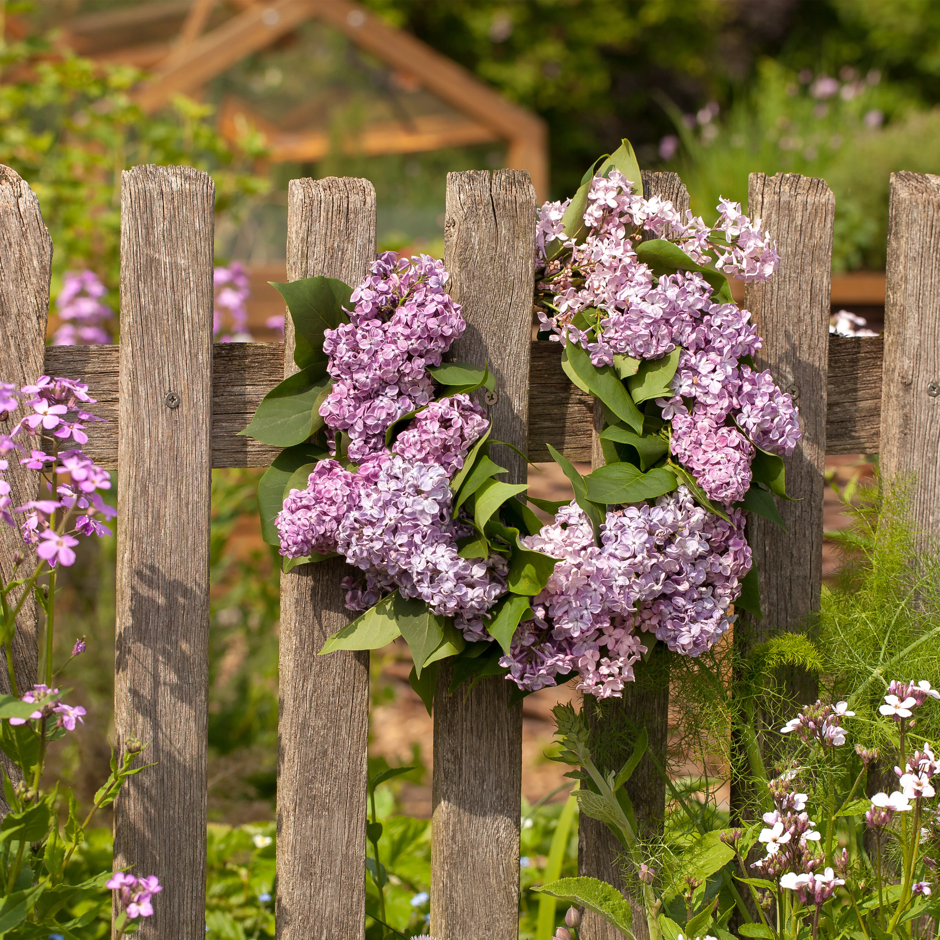 Schick eingerahmt: Gartenzäune sind nicht nur nützlich sondern auch schön