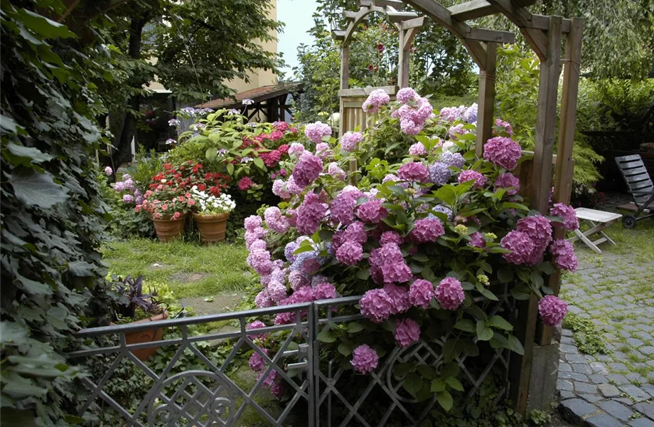 Schick eingerahmt: Gartenzäune sind nicht nur nützlich sondern auch schön