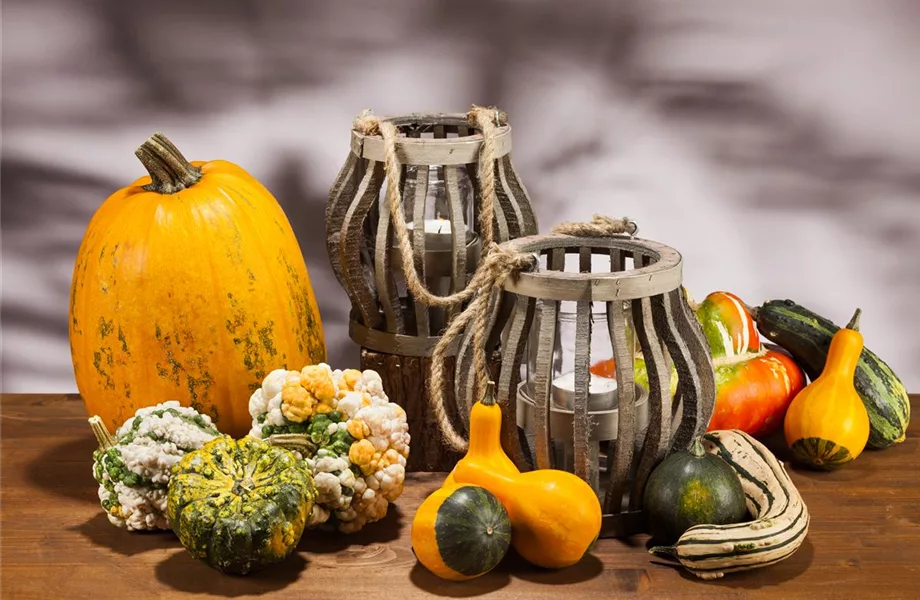 Es wird bunt! Herbst-Deko im Haus