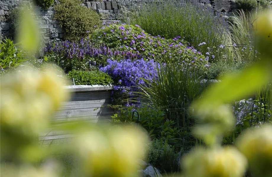 Die Terrasse als Garten - eine grüne Oase