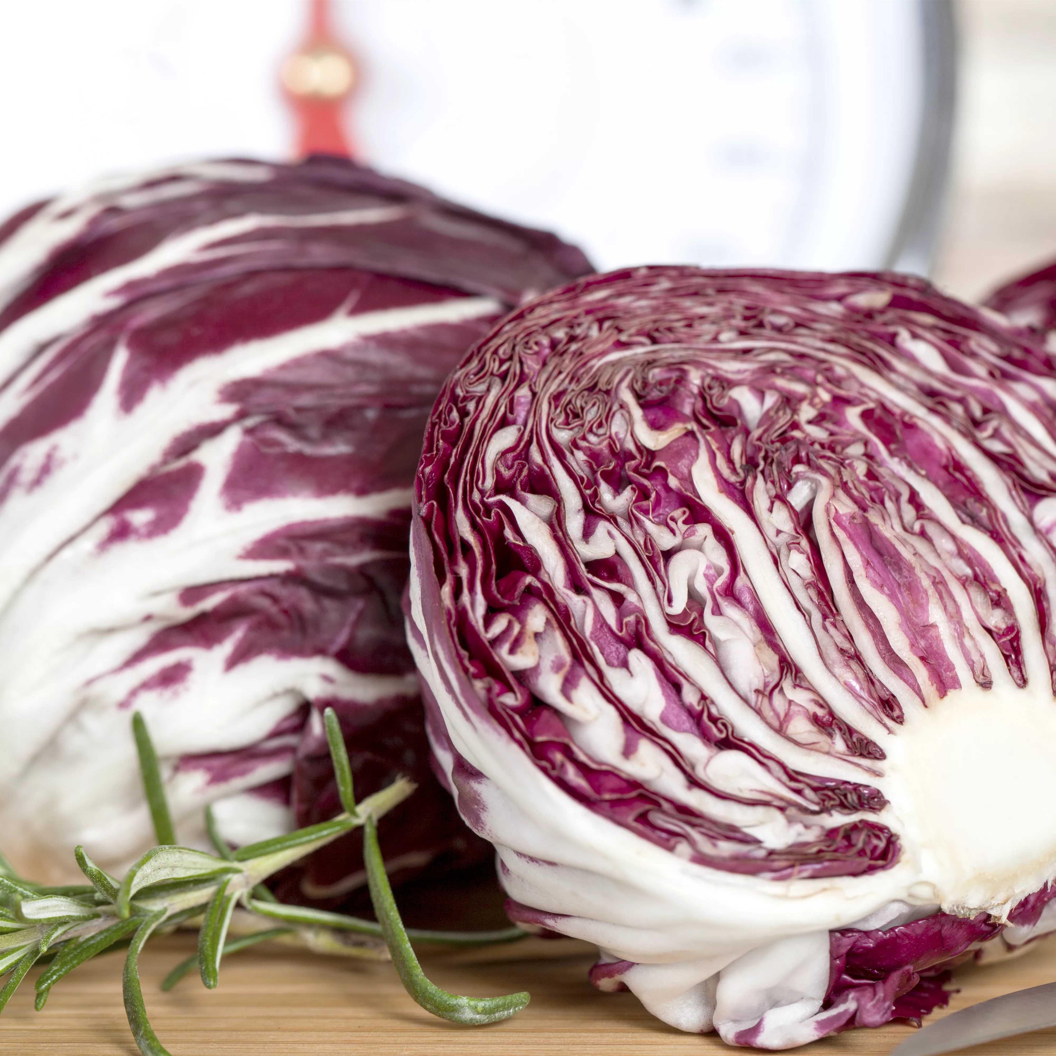 Herbstsalate: Frische aus dem eigenen Garten