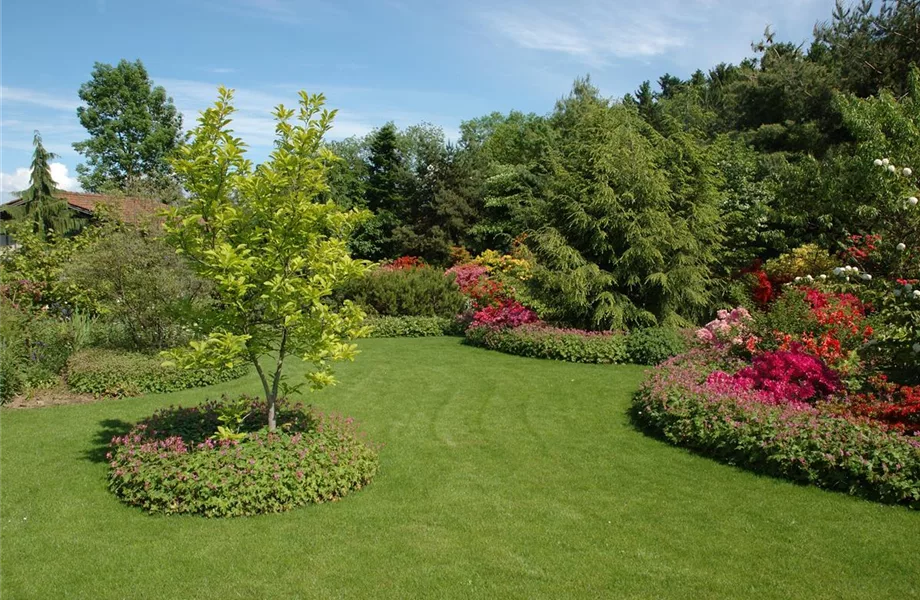 Bäume pflanzen – so wird der Garten groß