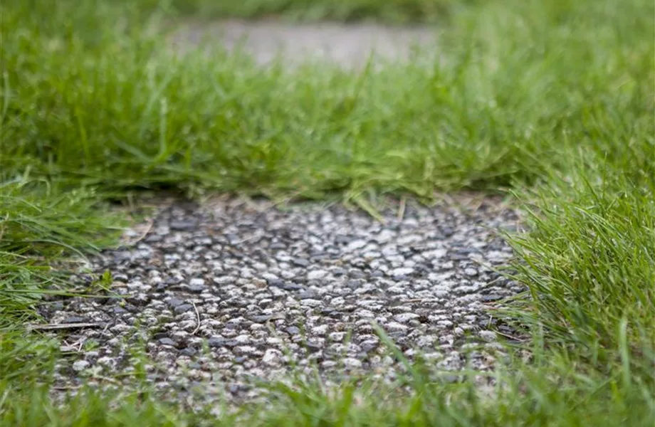 Neue Gartenwege anlegen