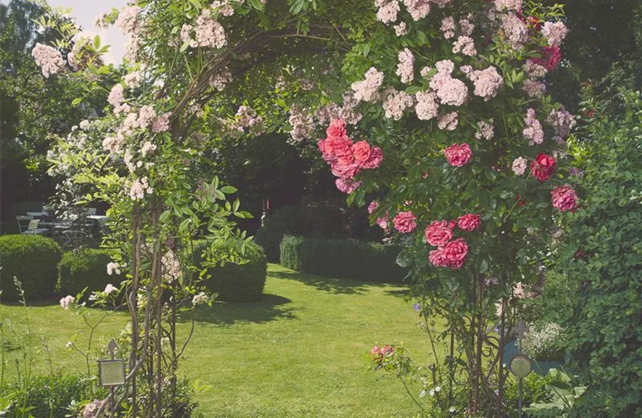 Lauschige Ecken im Garten