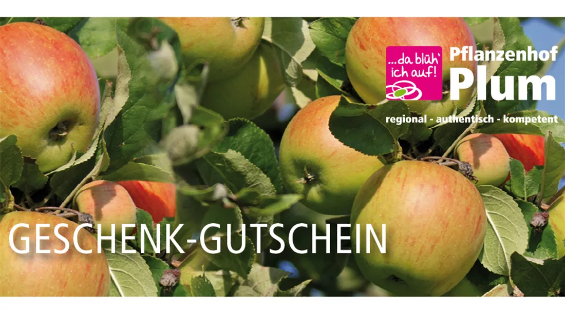 2207001 Plum Gutschein Apfel.jpg